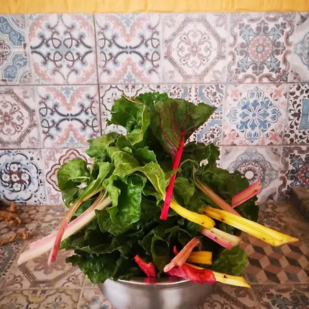 Cortijo La Huerta