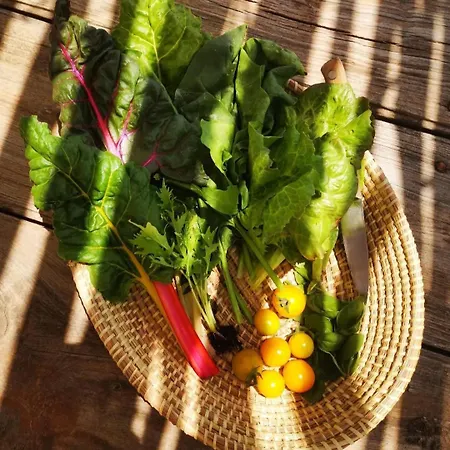 Cortijo La Huerta * Castril