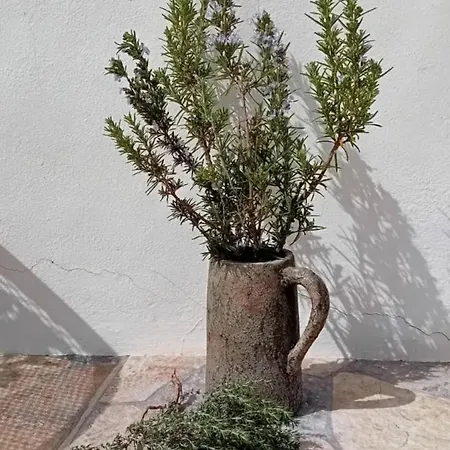 Cortijo La Huerta *