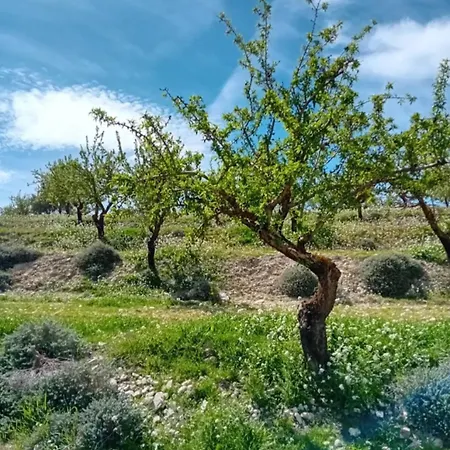 Cortijo La Huerta Country house