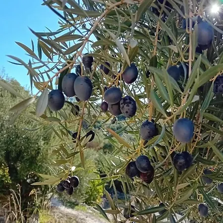 Country house Cortijo La Huerta *