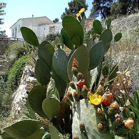 Cortijo La Huerta Country house Castril