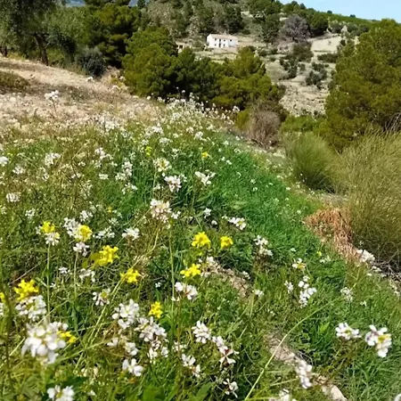 Cortijo La Huerta Country house *