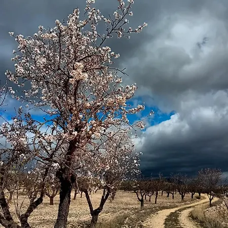 Country house Cortijo La Huerta *